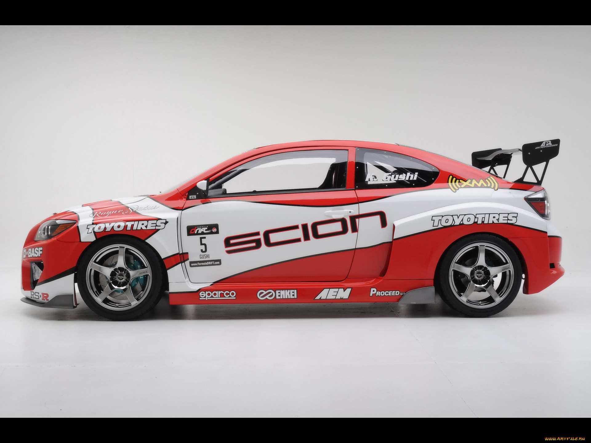 , scion